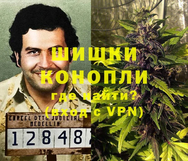 крисы Алзамай