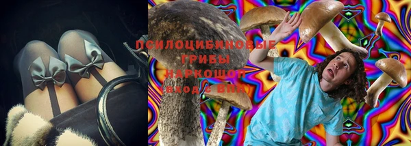 крисы Алзамай